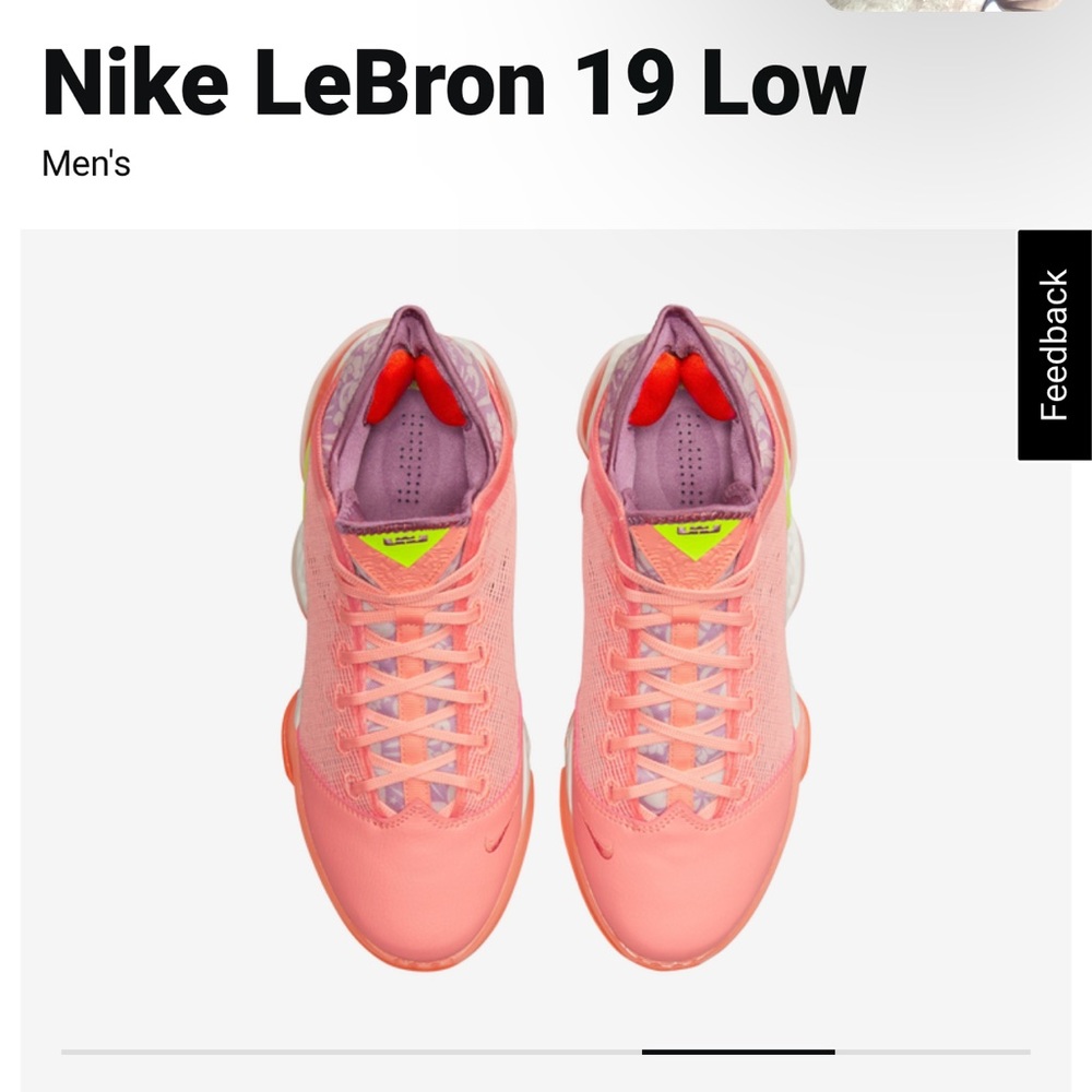 Lebron XIX low